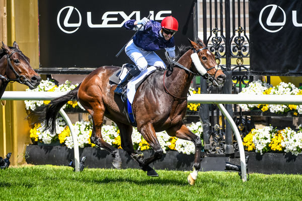 Twilight Payment and Jye McNeil capture the 2020 Melbourne Cup (image Racing Photos)