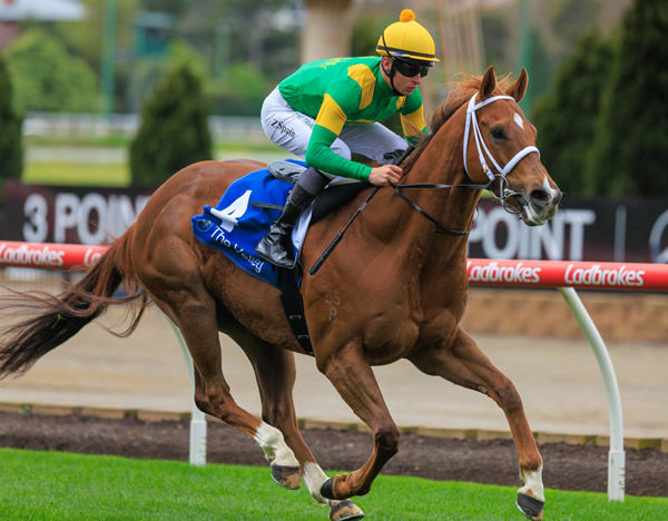 Twin Perfection cruises home at Moonee Valley - image Grant Courtney