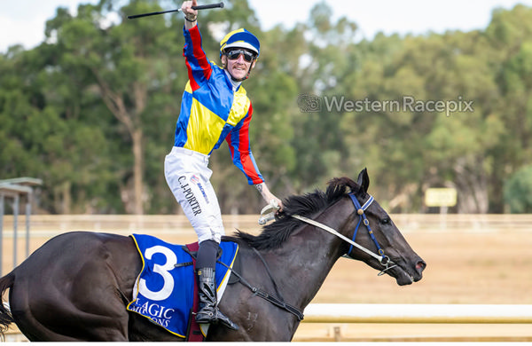 Twisted Steel wins the MM 3YO Trophy - image Western Racepix