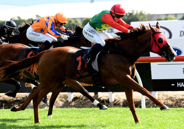 Two Illicit, pictured winning the Gr.1 Captain Cook Stakes (1600m), finished a gallant third in the Gr.1 Zabeel Classic (2000m) at Ellerslie after being galloped on during the race Photo Credit: Race Images – Kenton Wright