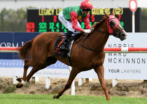Two Illicit wins the G2 Waikato guineas