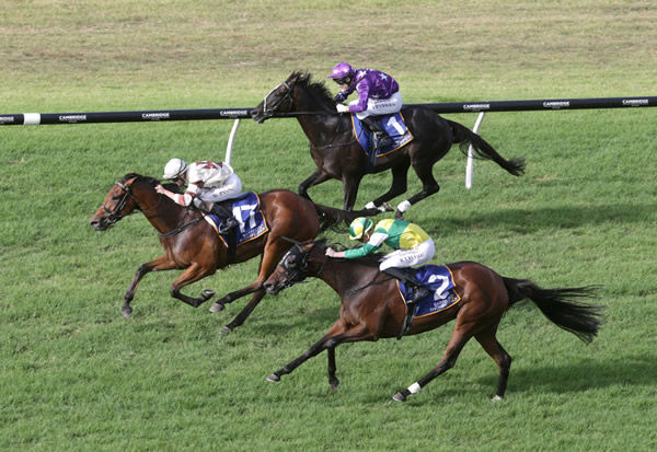Uareastar (centre) holds out Concert Hall and Sound (rail) to win the gr.2 Barfoot & Thompson Auckland Cup (3200m) Photo Credit: Trish Dunell