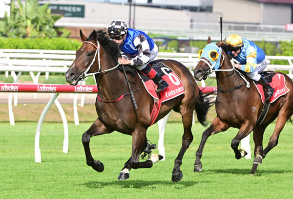 Ucalledit dashes away with the Listed Lough Neagh Stakes (1400m) at Eagle Farm Photo Credit: Grant Peters Photography