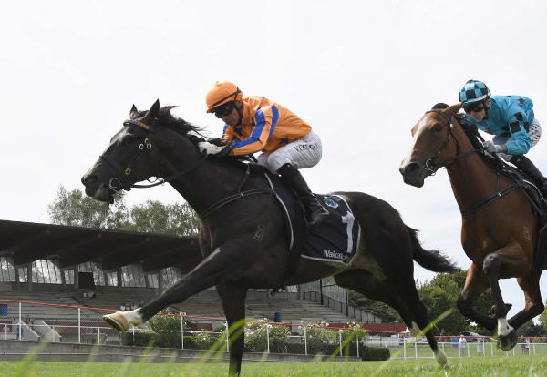 Unbridled Joy will contest the Listed HS Dyke Wanganui Guineas (1200m) on Saturday.  Photo: Kenton Wright (Race Images)