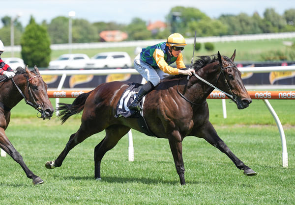 Unconquerable wins on debut at Caulfield - image Scott Barbour / Racing Photos