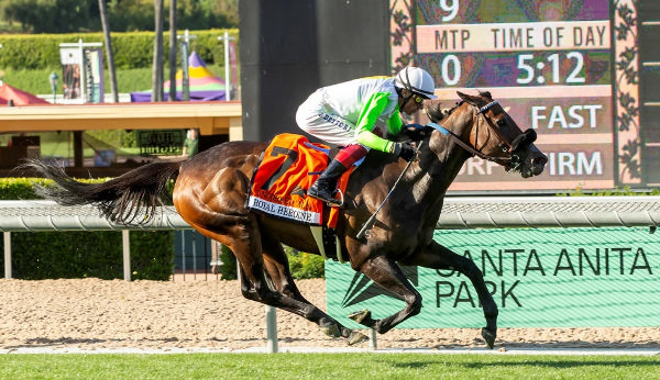 Pierro mare Uncorked wins the G3 Royal Heroine Stakes at Santa Anita - image Santa Anita news