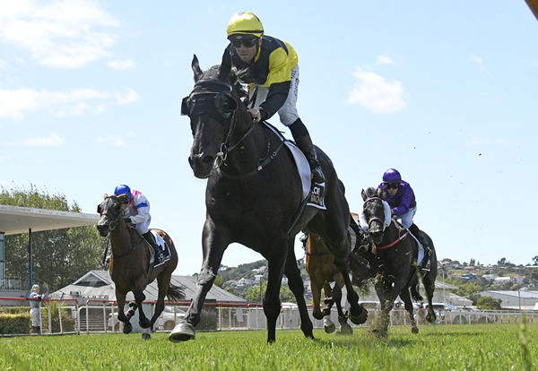 The Underbelly powers away to score in the Wanganui Function Centre R79 2060 at Wanganui on Friday.   Photo: Peter Rubery (Race Images Palmerston North)