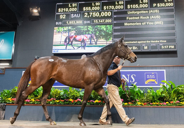 Unforgotten was a highlight at the 2020 Magic Millions National Sale. 