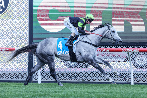 The sign of things to come. Uniquely wins the opener at Moonee Valley (image George Salpigtidis/Racing Photos) 