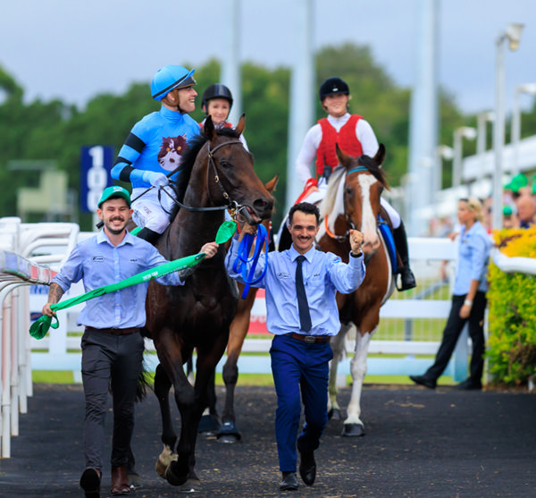 Unit Five comes back to scale a stakes-winner at his second start - image Grant Courtney
