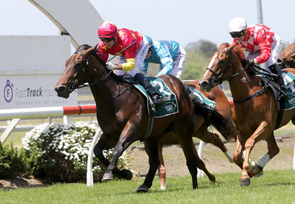 2YO Fastnet  Rock stakes-winner Unition is chasing further success this weekendUnition 