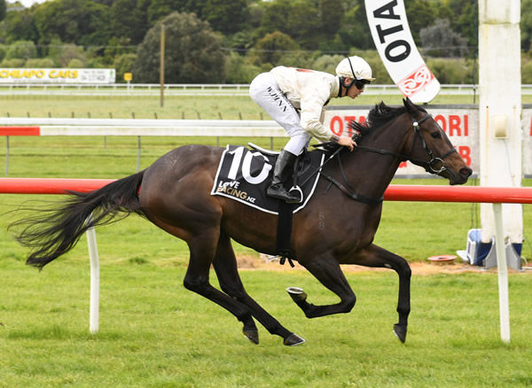 Unusual Culture will have her final run in New Zealand on Thursday in the Gr.3 Lucia Valentina Wellington Stakes (1600m) at Otaki. Photo: Grant Matthew (Race Images)