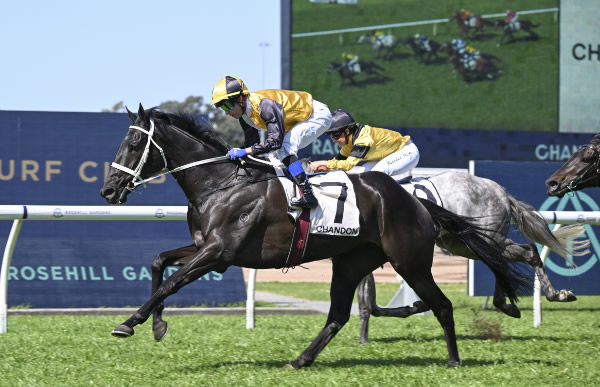 Unusual Legacy wins well at Rosehill - image Steve Hart