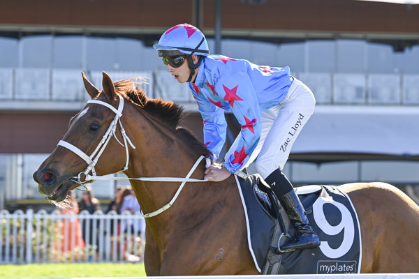 Useapin has more wins in store! - image Bradley Photography 