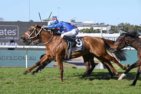 Useapin scores her first metro success at Rosehill - image Bradley Photography