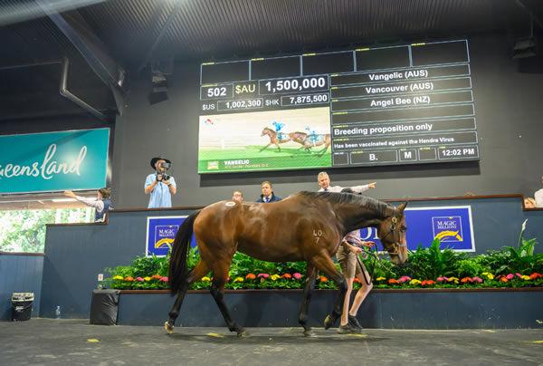 Vangleic had a turn around the Gold Coast sale ring in  2023 and made the same money as her son.