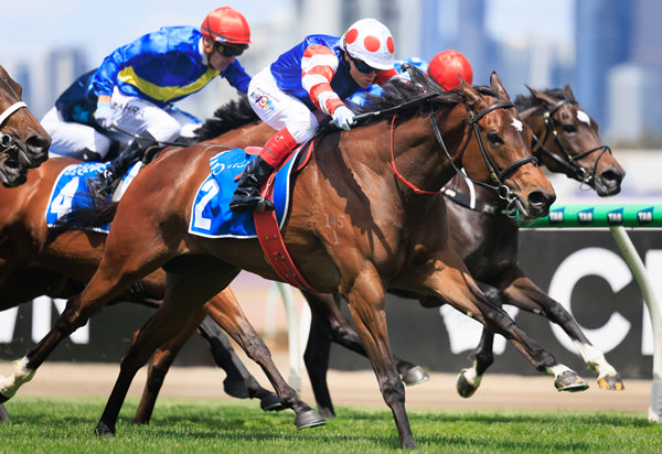 Verona Rose wins the $350,000 Inglis Bracelet - image Grant Courtney