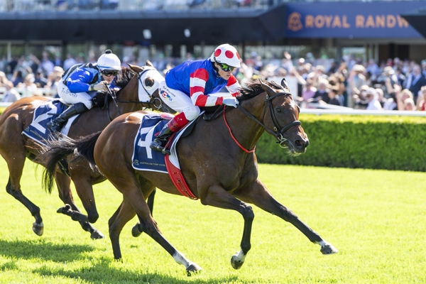 Verona Rose wins the G2 Guy Walter Stakes - image Bradley Photos