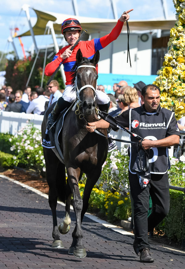 NZ bred Verry Elleegant is the 2021 Australian Horse of the Year.