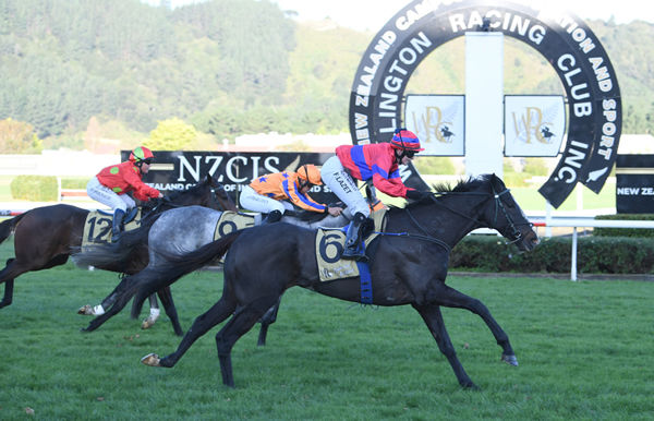 Faye Lazet guides Verry Flash to an impressive fresh-up win in the Listed James Bull Holdings Rangitikei Gold Cup (1600m) at Trentham Photo Credit: Race Images – Grant Matthew