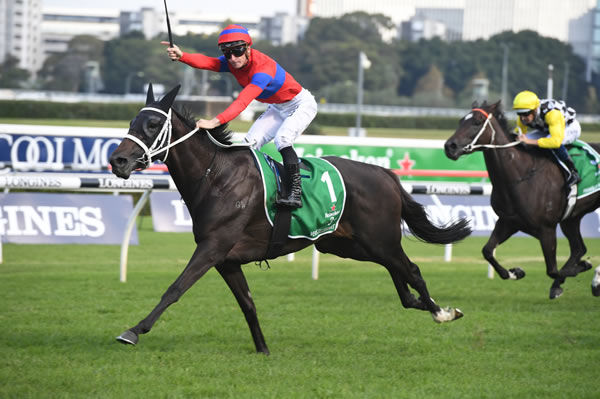 Verry Elleegant won the G1 Australian Oaks before blossoming into a Cups queen - image Steve Hart 