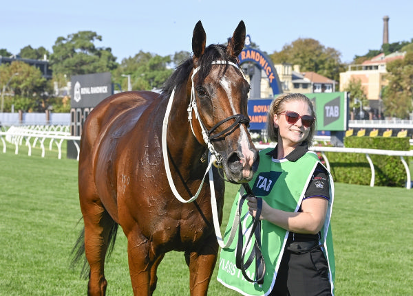 Via Sistina (IRE) is back in the winning groove - image Bradley Photography