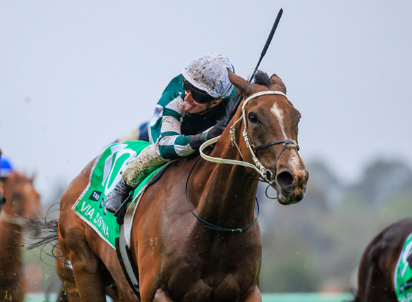 Via Sistina (IRE) and J-Mac are a winning team - image Grant Courtney