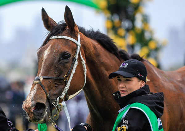 Via Sistina (IRE) wins the G1 Champions Stakes for the second time - image Grant Courtney
