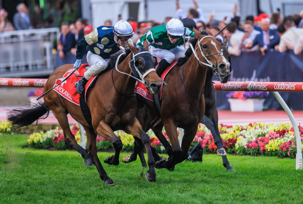 Via Sistina (IERE) holds off Buckaroo (GB) to win the cox Plate - image Grant Courtney