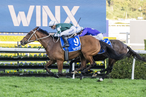 Via Sistina wins the G1 Winx  image Bradley Photography