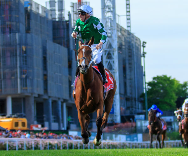 Via Sistina is airborne at The Valley - image Grant Courtney