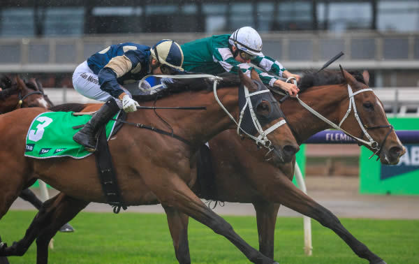 Via Sistina edges out her stablemate Buckaroo to win the G1 Turnbull - image Grant Courtney 