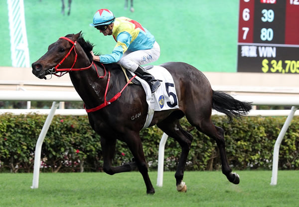 Victor the Winner has won five of eight starts in Hong Kong - image HKJC