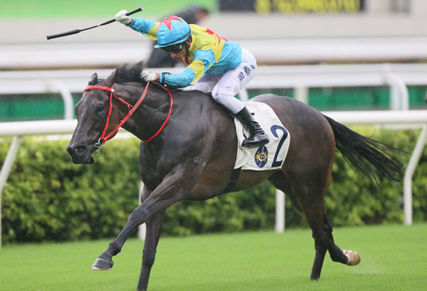 Victor the Winner salutes at the first Sha Tin meeting of a new season - image HKJC