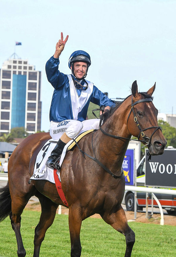 Viddora won the Magic Millions Snippets Sprint in 2018!