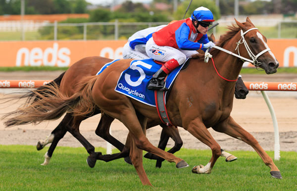 Nice way to break your maiden! Vienna Princess wins the Listed Twilight Glow Stakes - image Grant Courtney