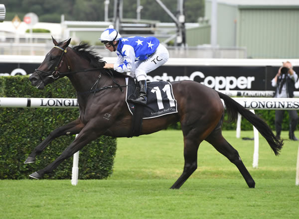 Villami wins her first stakes race - image Steve Hart