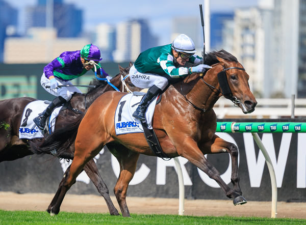 Vinrock wins the Listed Exford Plate - image Grant Courtney