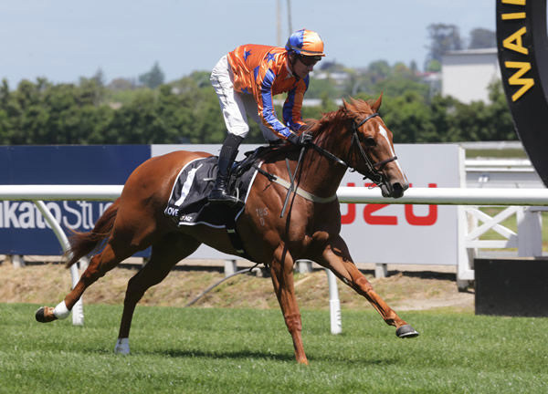 Two-year-old filly Viva Vienna was a smart winner at Te Rapa on Saturday Photo: Trish Dunell