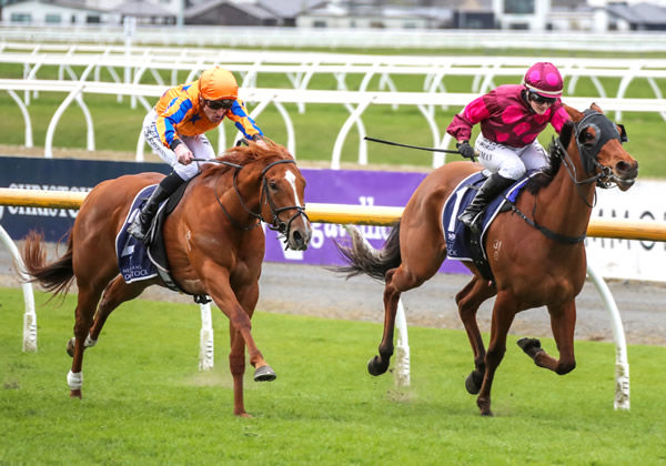 Viva Vienna (left) storms home outside of Illicit Dreams to claim the Listed New Zealand Bloodstock Canterbury Belle Stakes (1200m). Photo: Ajay Berry (Race Images South)