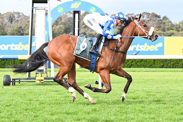 The Unbeaten Vivid Sun Looks Stakes Class - Image: Pat Scala/Racing Photos