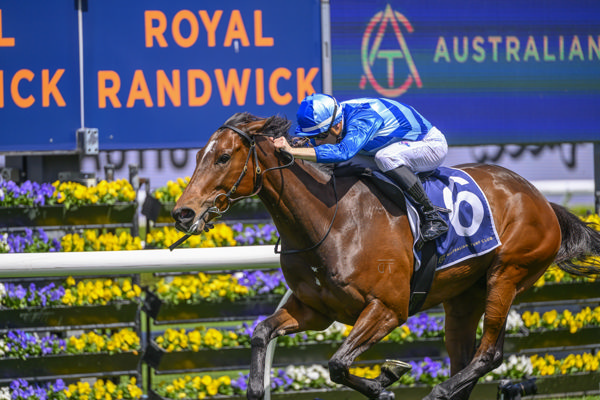 Vivy Air back in winning form at Randwick - image Bradley Photos