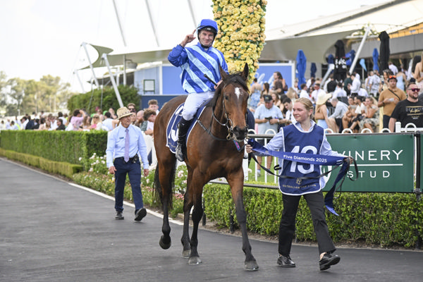 Vivy Air has won over $2.8million - image Bradley Photos