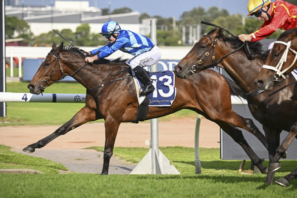 Vivy Air wins the $2million Five Diamonds - image Bradley Photos