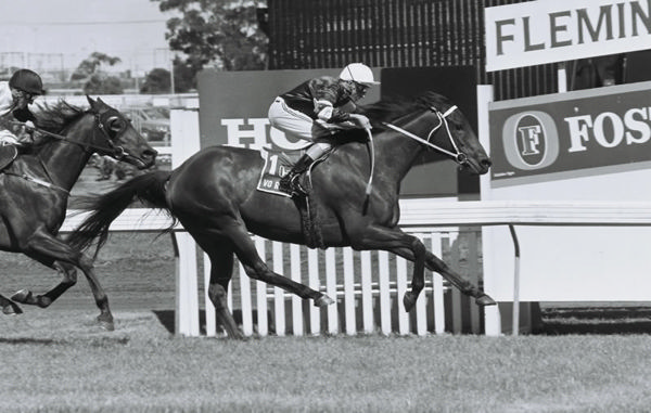 Before we had Pride of Jenni there was the great front-runner Vo Rogue - he won the CF Orr Stakes three times!!