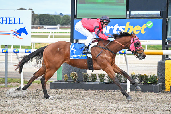 Volkano wins on debut -image Reg Ryan / Racing Photos 