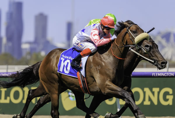 Von Hauke wins his first stakes race at Flemington - image Grant Courtney
