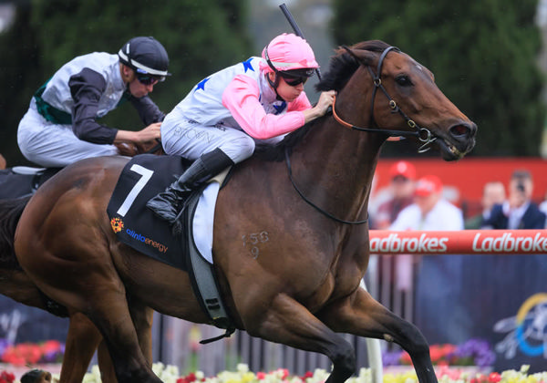 Von Hauke wins the G2 Crystal Mile- image Grant Courtney