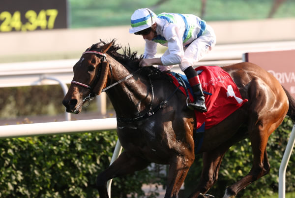 Aus bred Voyage Bubble is on track for the G1 Innternational Mile - image HKJC