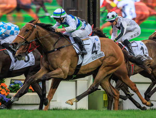 Inglis Classic sale-topper Voyage Bubble won the Hong Kong Derby - image Grant Courtney